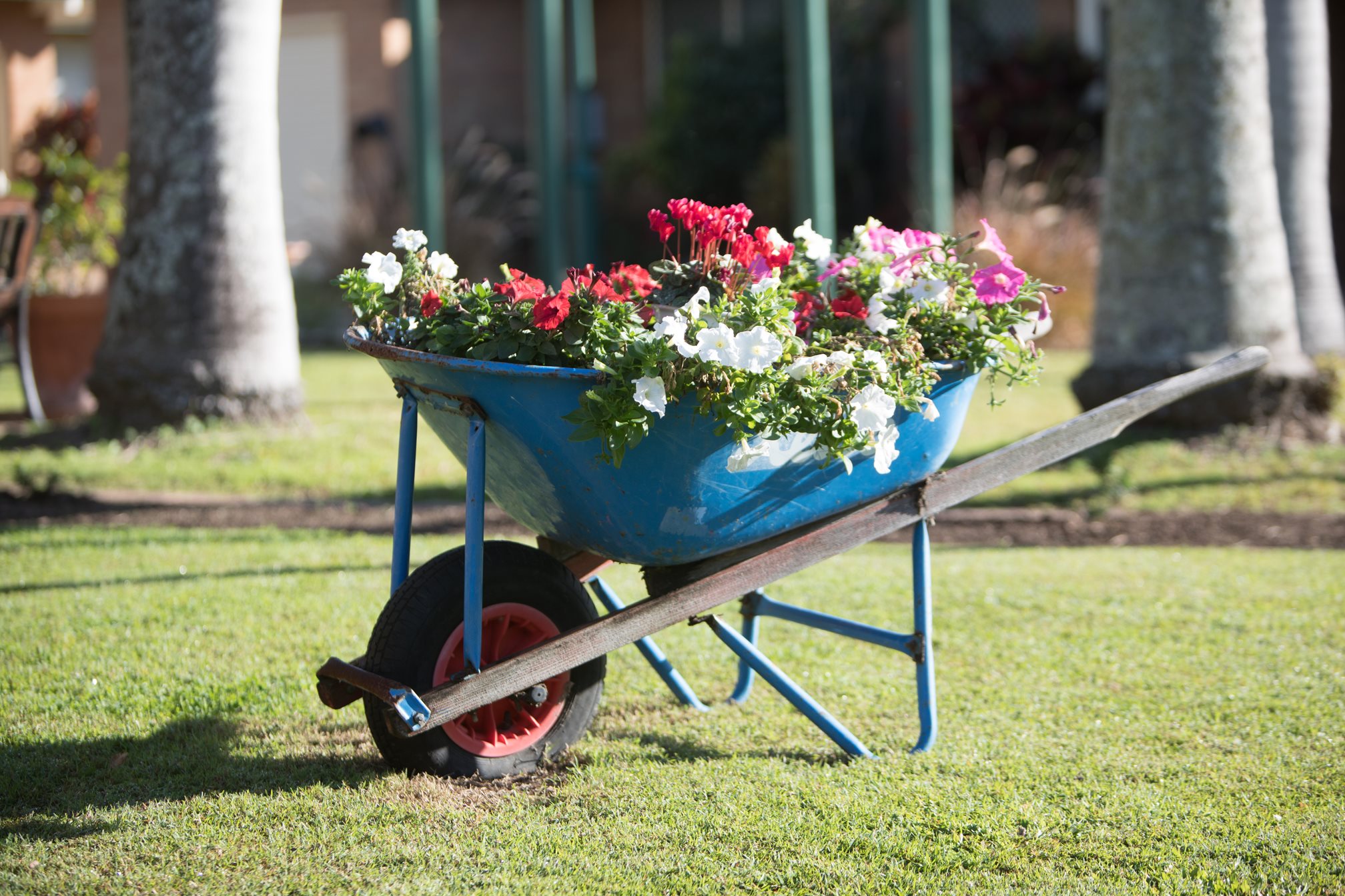 Beautiful gardens